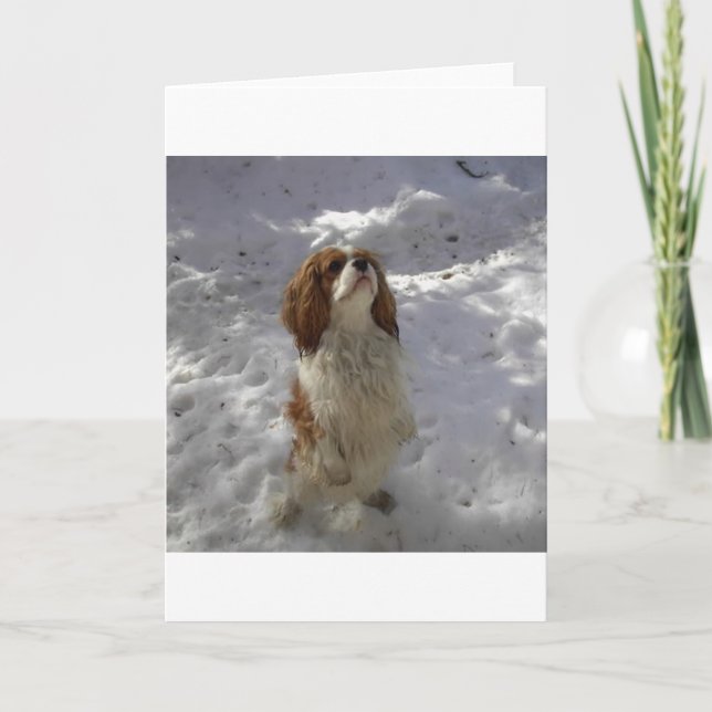 cav in snow card (Front)