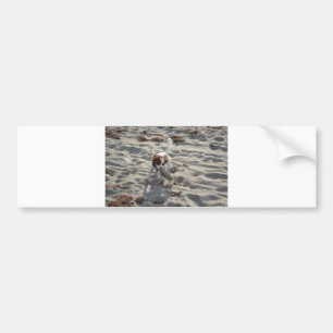 cav on beach bumper sticker