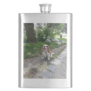 cav sitting hip flask