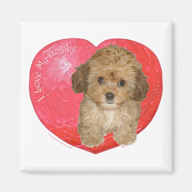 Cavachon Valentine Magnet (Front)