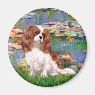 Cavalier 2 (bl) - Lilies 2 Magnet