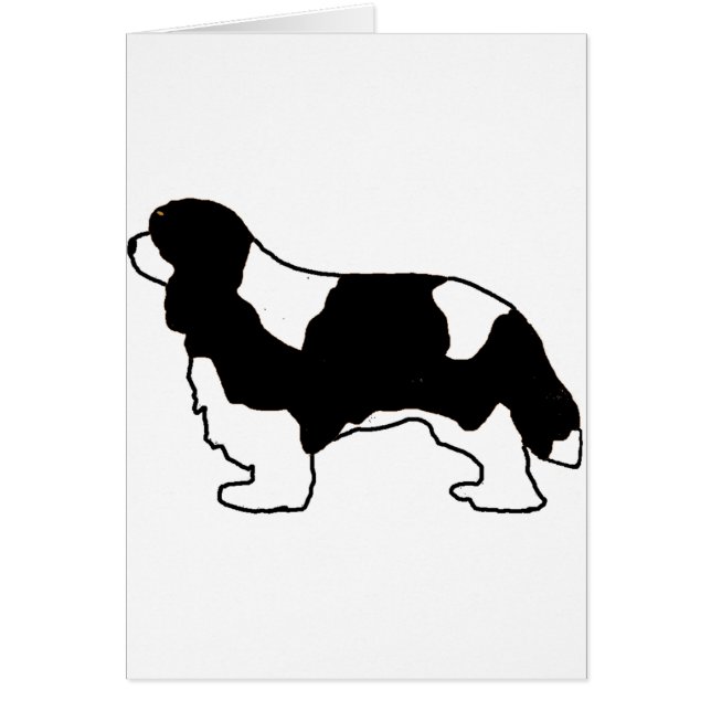 Cavalier King Charles black and white silo (Front)