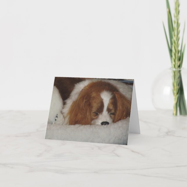 Cavalier King Charles Blenheim Blank Note Card (Front)