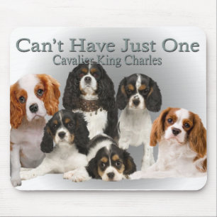 Cavalier King Charles Can't Have Just One gifts Mouse Pad