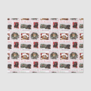 Cavalier King Charles Christmas Tissue Paper
