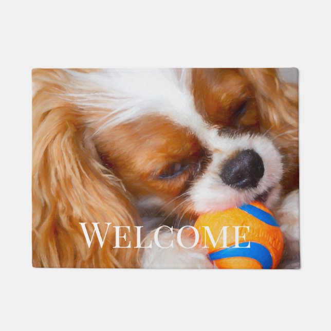 Cavalier King Charles  Doormat (Front)