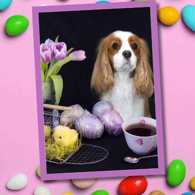 Cavalier King Charles Easter Tulips Eggs Card (Creator Uploaded)