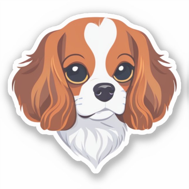 Cavalier king charles head illustrated (Front)