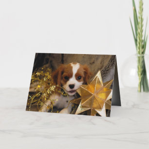 Cavalier King Charles Holiday Star Card