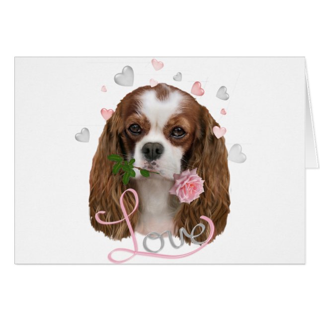 Cavalier King Charles Love (Devant horizontal)