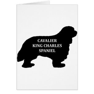 Cavalier King Charles name silo