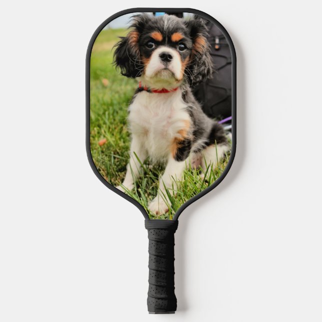 Cavalier King Charles  Pickleball Paddle (Front)