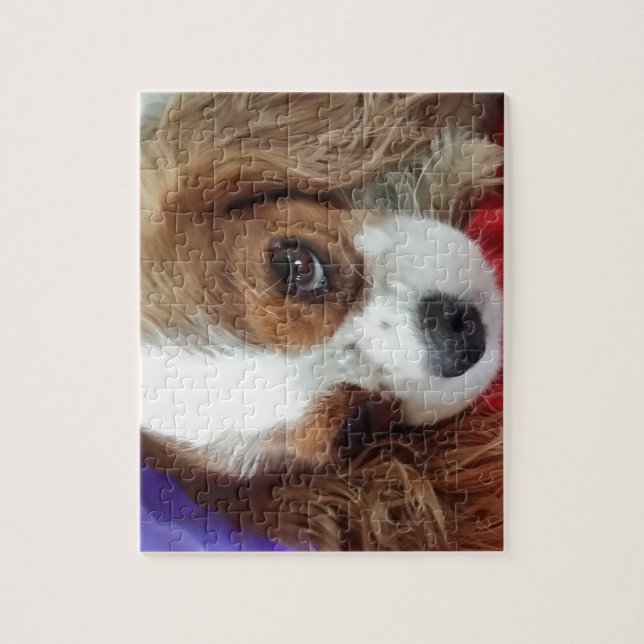 Cavalier King Charles Pretty Jigsaw Puzzle (Vertical)
