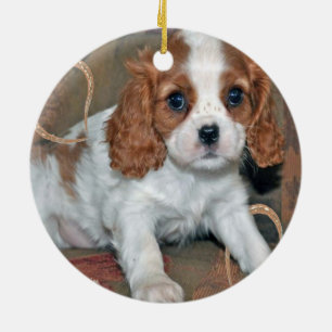 Cavalier King Charles  Puppy Ornament