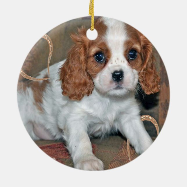Cavalier King Charles  Puppy Ornament (Back)