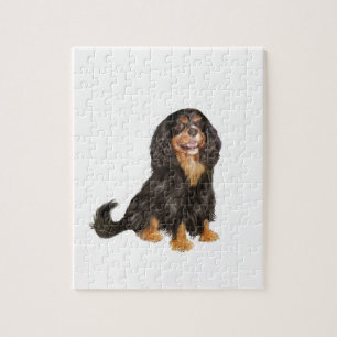 Cavalier King Charles (R) - Black and tan.png Jigsaw Puzzle