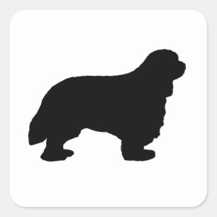 Cavalier King Charles silo black Square Sticker