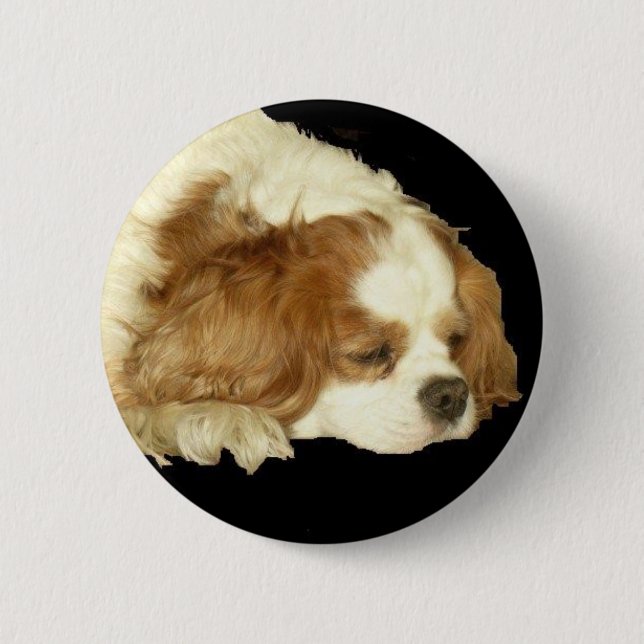 CAVALIER KING CHARLES SLEEPING 2 INCH ROUND BUTTON (Front)