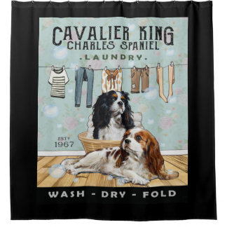 Cavalier King Charles Spaniel