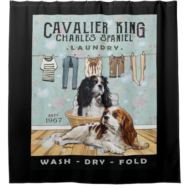Cavalier King Charles Spaniel (Front)