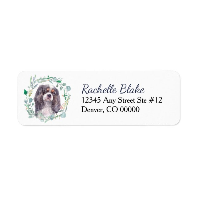 Cavalier King Charles Spaniel (Devant)