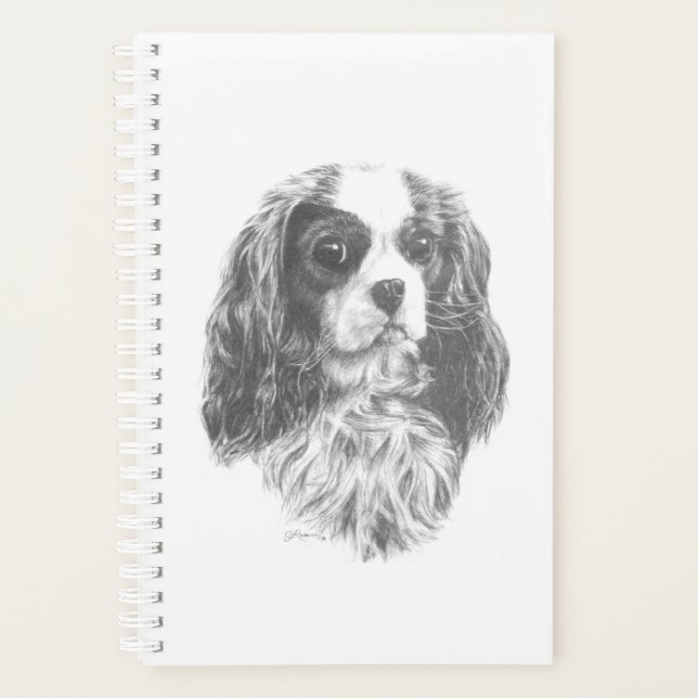 Cavalier King Charles Spaniel (Devant)
