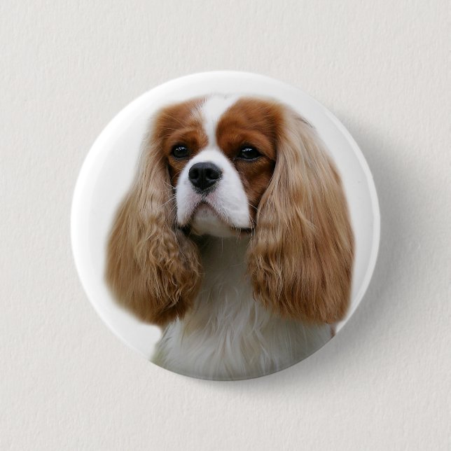 Cavalier King Charles Spaniel 2 Inch Round Button (Front)