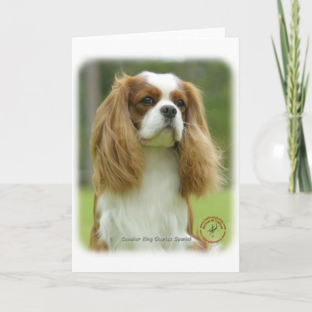 Cavalier King Charles Spaniel 9F097D-08 Card (Front)