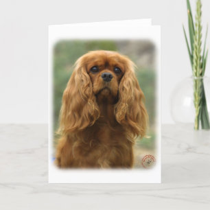 Cavalier King Charles Spaniel 9F51D-10 Card