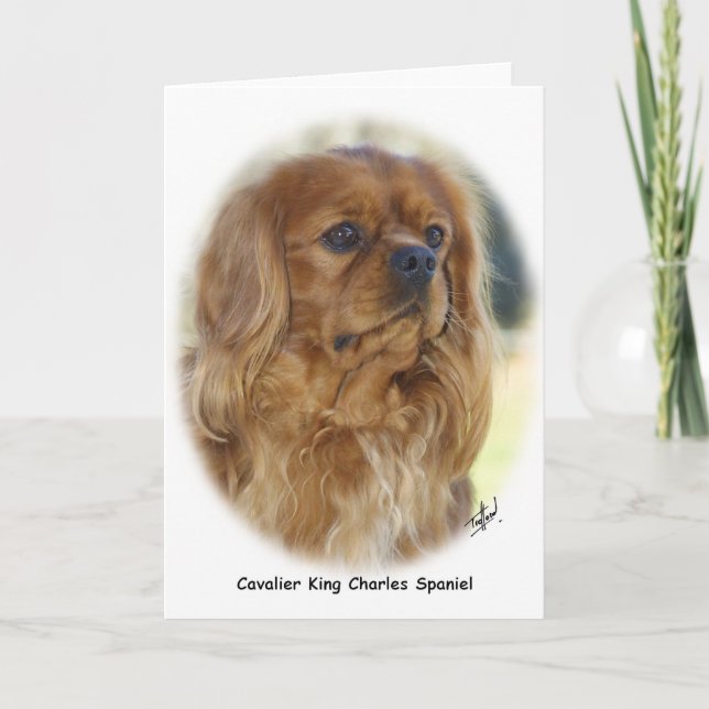 Cavalier King Charles Spaniel 9K27D-17 Card (Front)