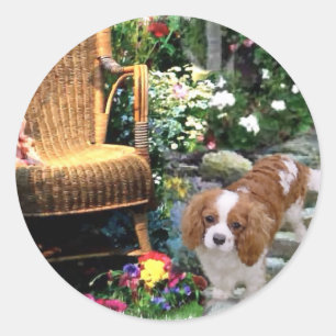 Cavalier King Charles Spaniel Art Classic Round Sticker