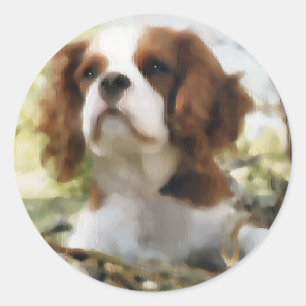 Cavalier King Charles Spaniel Art Gifts Classic Round Sticker