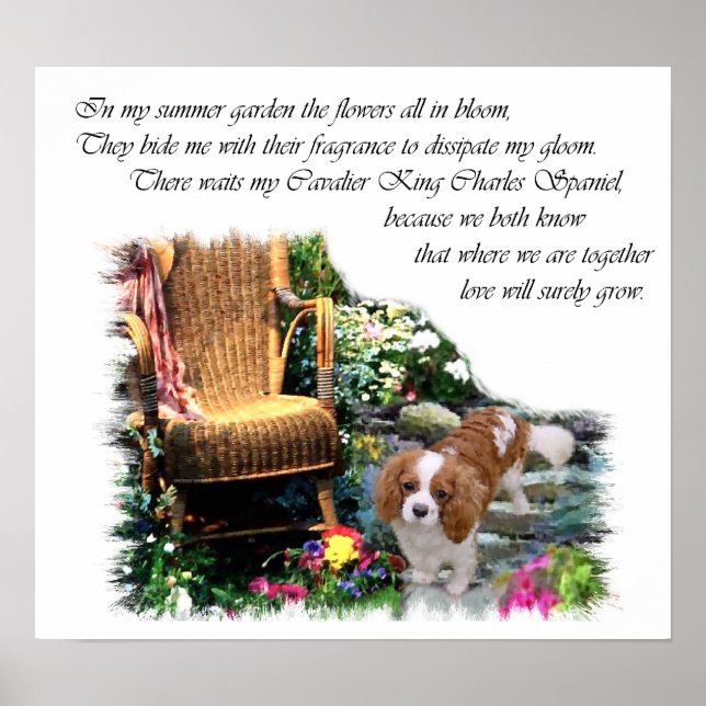 Cavalier King Charles Spaniel Art Poster (Front)