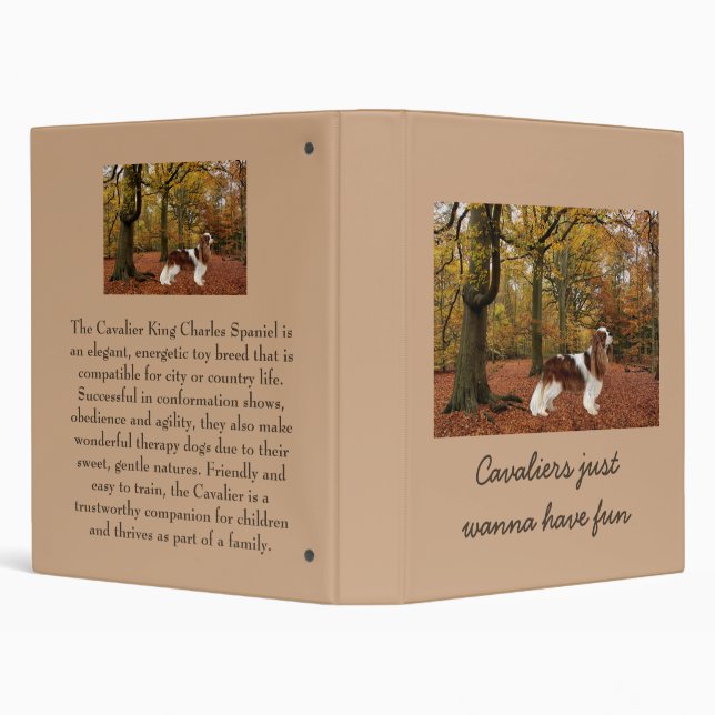 Cavalier King Charles Spaniel Binder (Background)