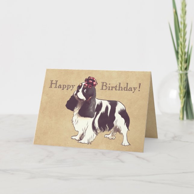 Cavalier King Charles Spaniel Birthday Card (Front)