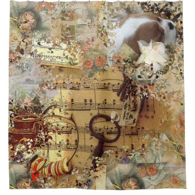 Cavalier King Charles Spaniel, Blenheim (Front)