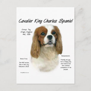 Cavalier King Charles Spaniel (Blenheim) History Postcard