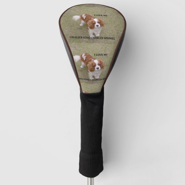 Cavalier-king-charles-spaniel blenheim love w pic. golf head cover (Front)