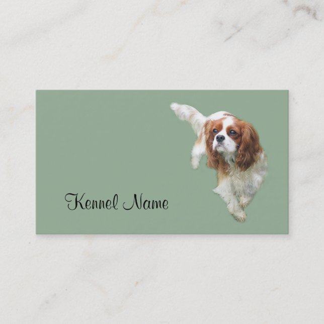 Cavalier King Charles Spaniel Breeder Business Car Business Card (Front)