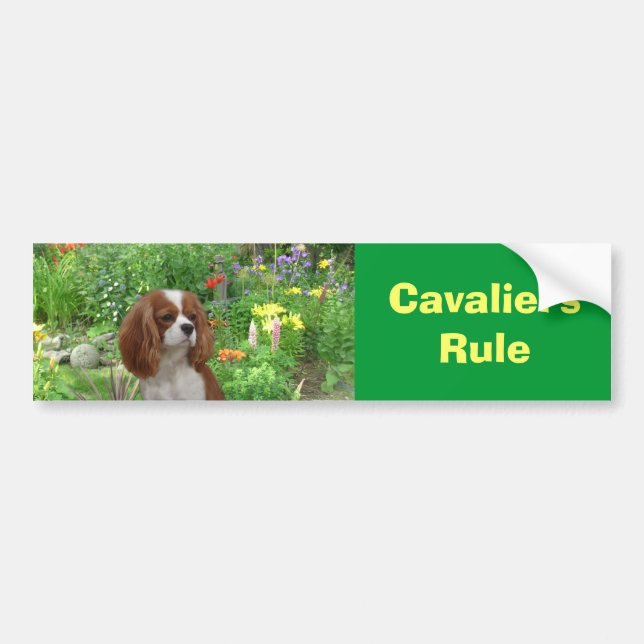 Cavalier King Charles Spaniel Bumper Sticker (Front)