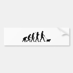Cavalier King Charles Spaniel Bumper Sticker