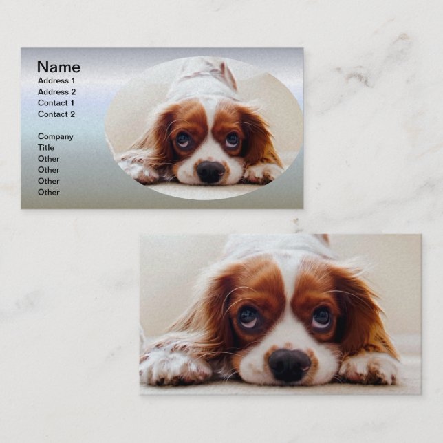 Cavalier King Charles Spaniel Business Card (Front/Back)