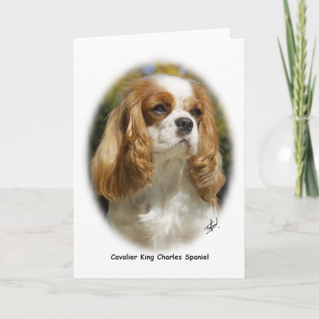 Cavalier King Charles Spaniel Card (Front)