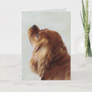 Cavalier King Charles Spaniel Card