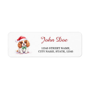 Cavalier King Charles Spaniel Chapeau de Père Noël
