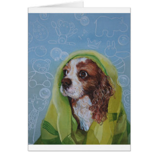 Cavalier King Charles Spaniel Chien