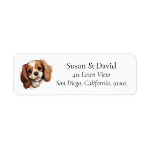 Cavalier King Charles Spaniel Chien race Animaux A