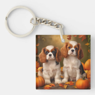 Cavalier King Charles Spaniel Chiot Citrouille d'a
