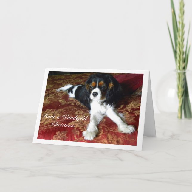 Cavalier King Charles Spaniel Christmas Card (Front)