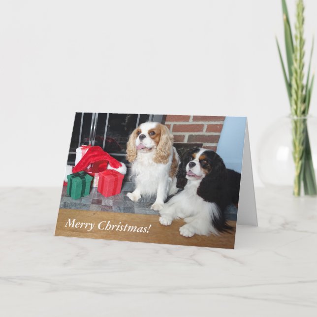 Cavalier King Charles Spaniel Christmas Card (Front)